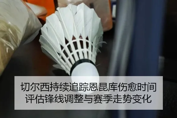 切尔西持续追踪恩昆库伤愈时间 评估锋线调整与赛季走势变化